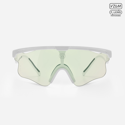 Delta LEI Ice Frame / Beetle Lens